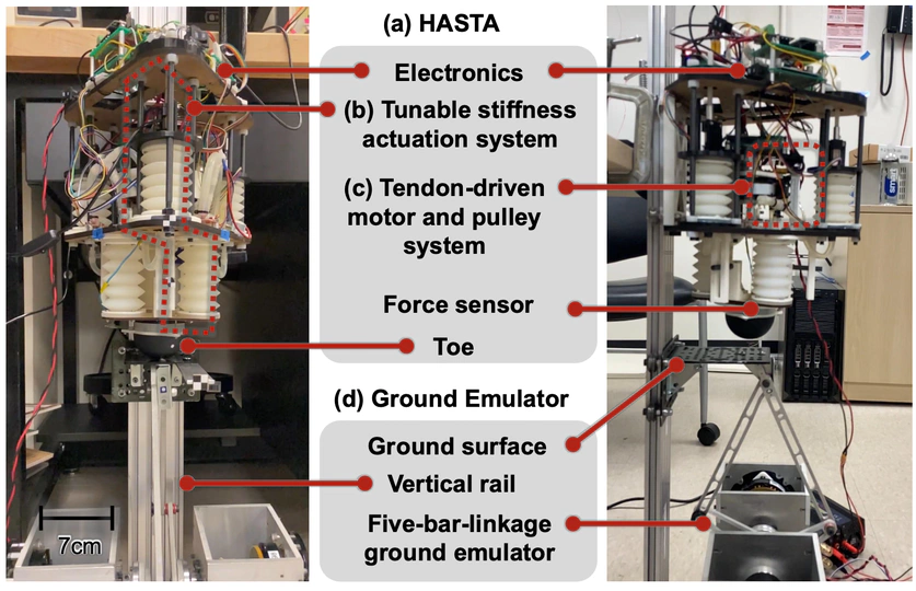 Legged Hopping Robot and Ground Emulator
