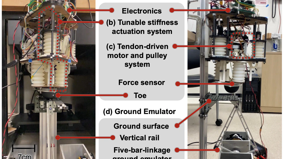 Legged Hopping Robot and Ground Emulator