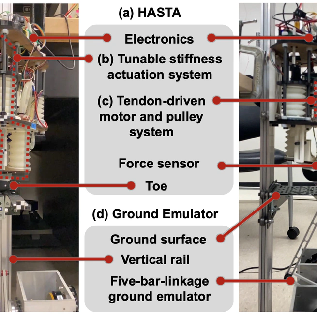 Legged Hopping Robot and Ground Emulator